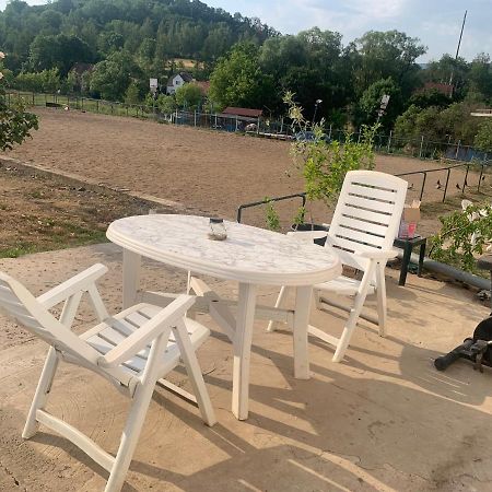 Ubytovani V Apartmanu, 2 Loznice, Na Farme Bzany Exterior photo